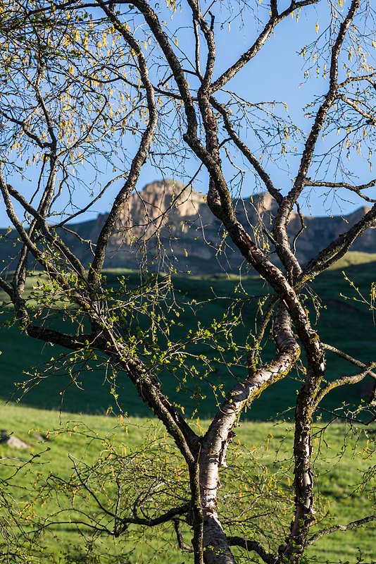 _DSC9883