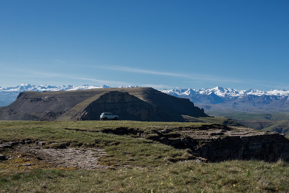 _DSC9951