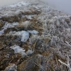 Камни