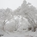 Фото на перевале "Два брата"