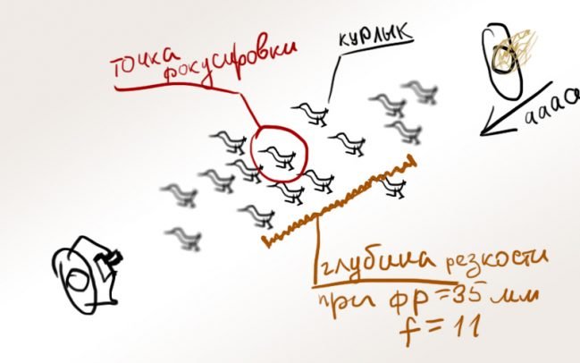 Как фокусироваться на бегущем человеке