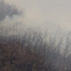 Пожар на Машуке