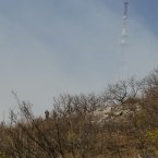 Пожар на Машуке