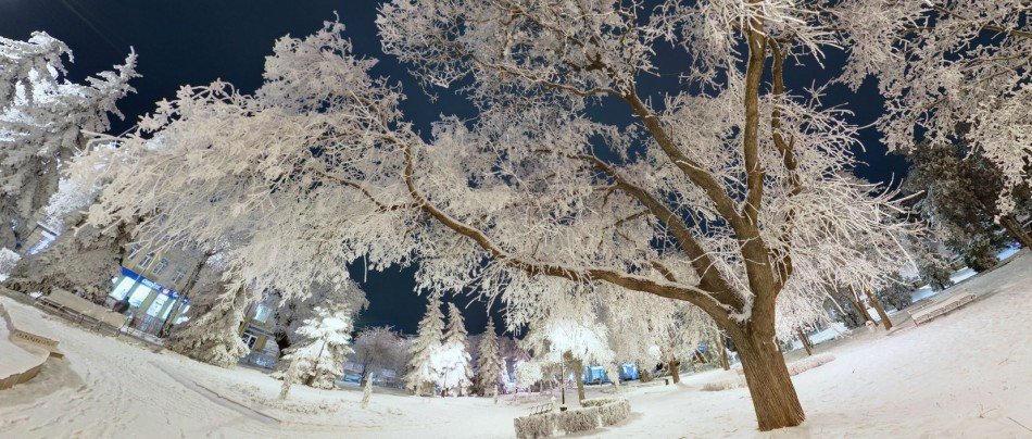 Фото 1 из «3D панорама — роскошное снежное дерево в …»