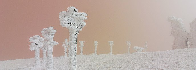 winter-pyatigorsk
